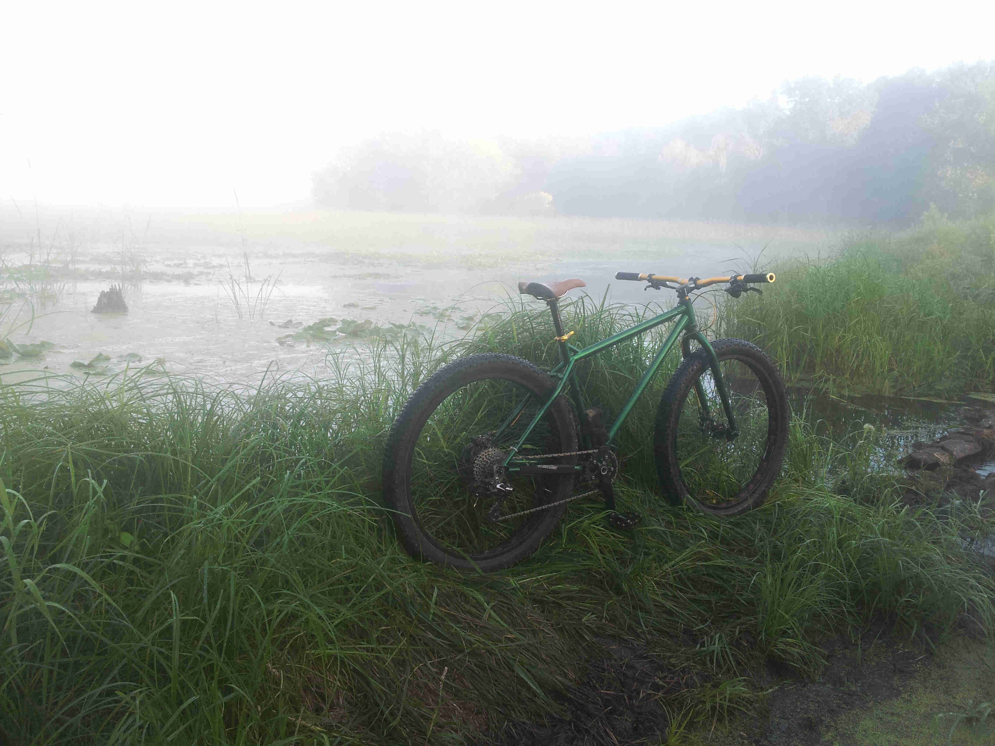 Rear, right side view of a green Surly Krampus bike, parked in tall green weeds, next to a foggy marsh