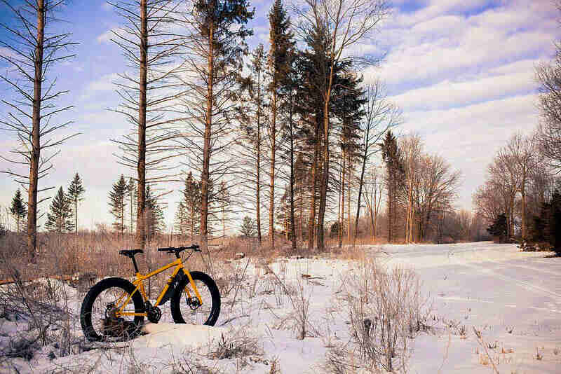 Right side view of a yellow fat bike, parked in a field of deep snow, with trees in the background