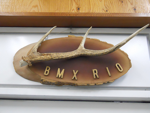 Upward, front view of a deer antler, mounted to a wood slab on a wall, with letters below that show, BMX RIO