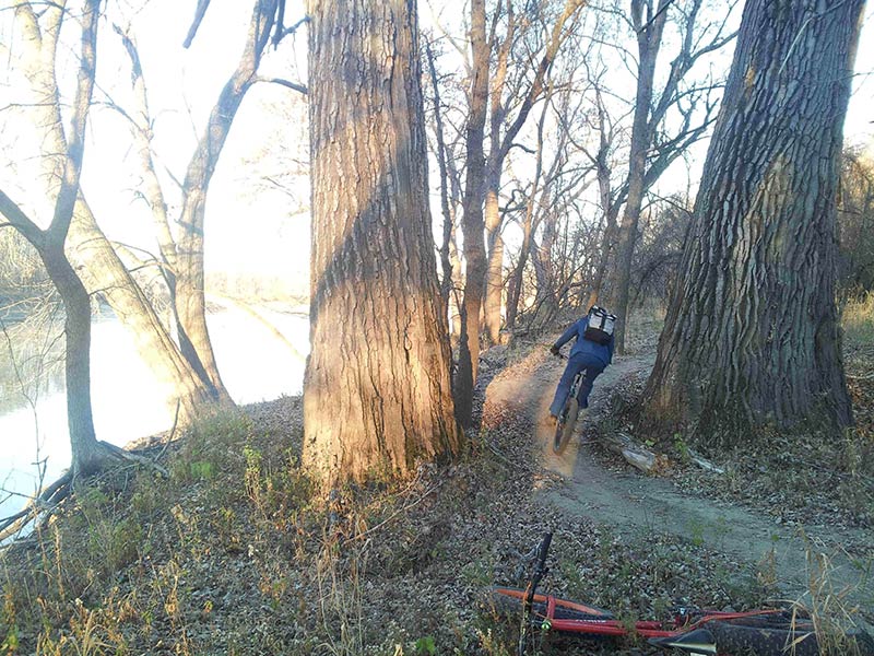 Rear view of a cyclist riding their bike between 2 large trees, on a dirt trail that runs alongside a river