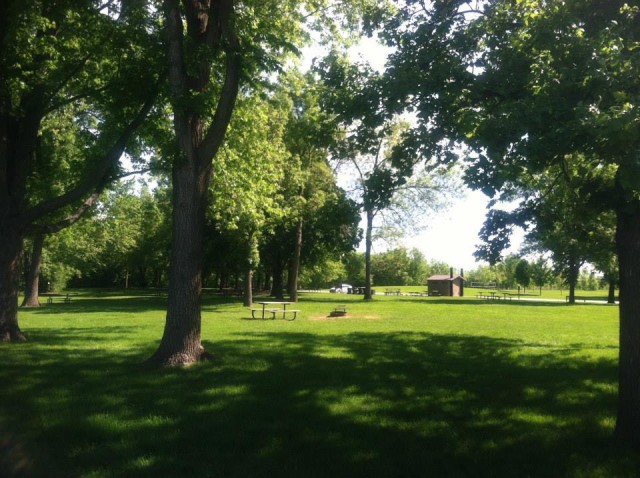 A grass field with a few large trees, a picnic table and a park grill