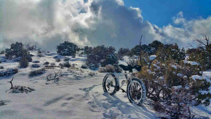 Right side view of a fat bike, parked in a snowy field with bushes