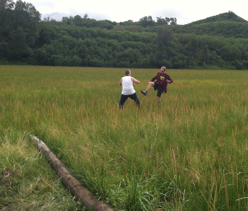 Looped GIF of two people doing karate moves, in a field of tall grass, with tree covered hills in the background