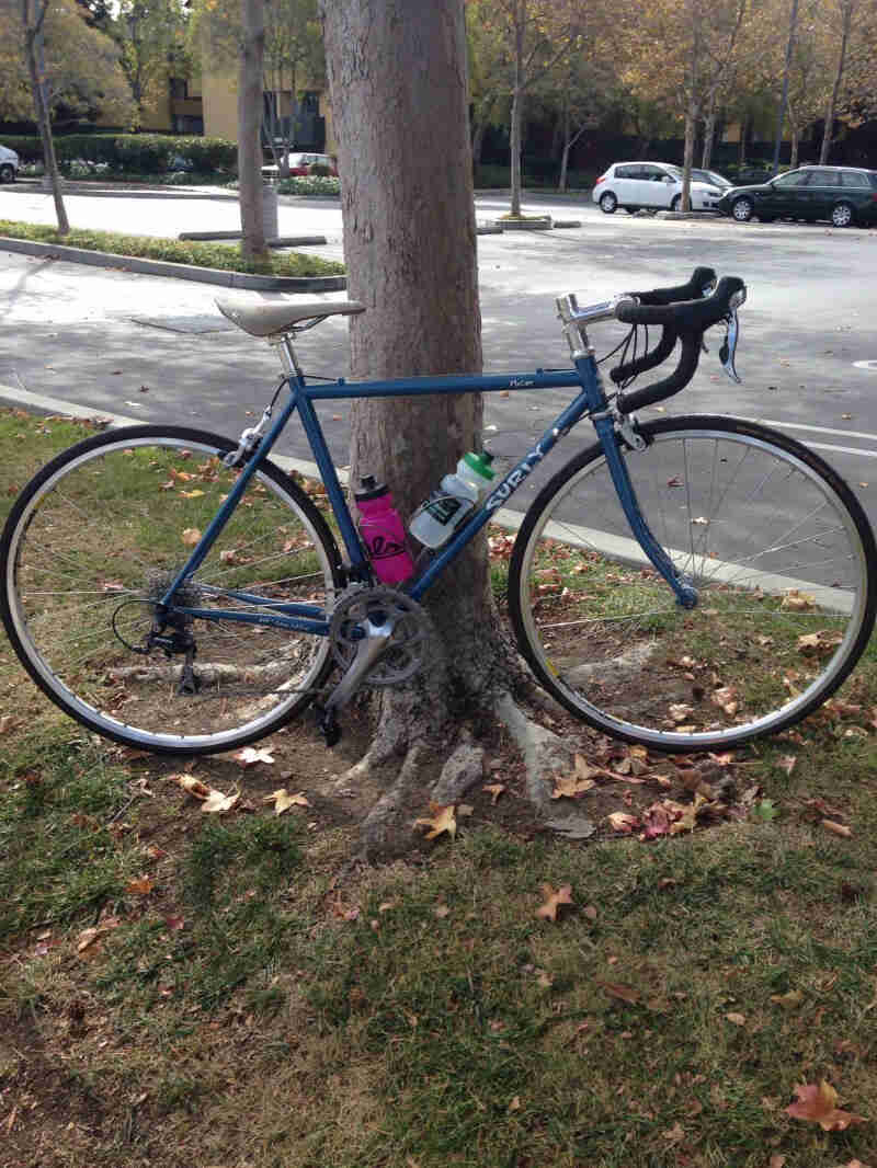 Right side view of a blue Surly Pacer bike with 2 water bottles, leaning against a tree with a parking lot behind it