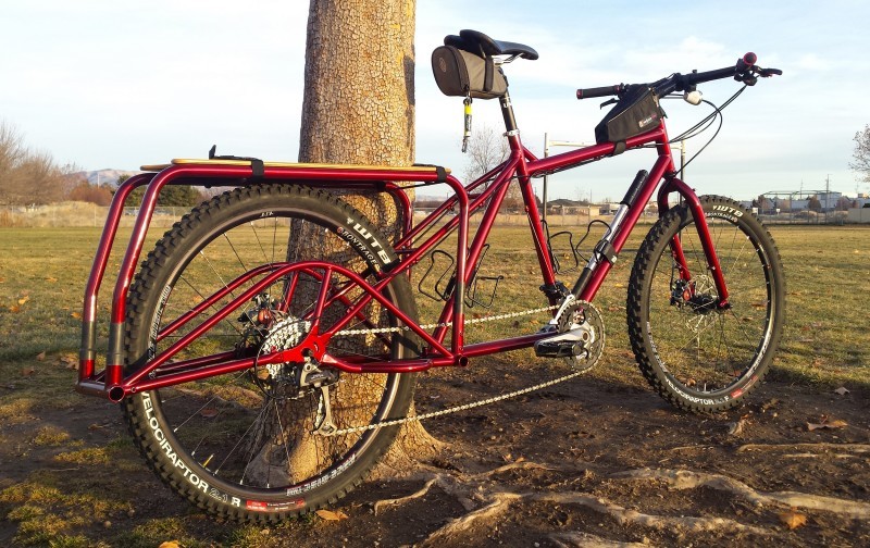 Right side view of a red Surly Big Dummy bike, leaning against a tree, with a grass field behind it