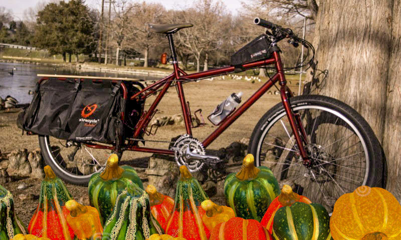 Right side view of a Surly Big Dummy bike, parked in front of a tree with gourds, and a field and a pond in background