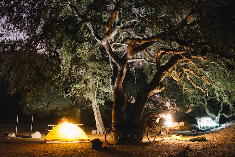 Two bikes lean at the base of a tree near a tent with a campfire behind at night