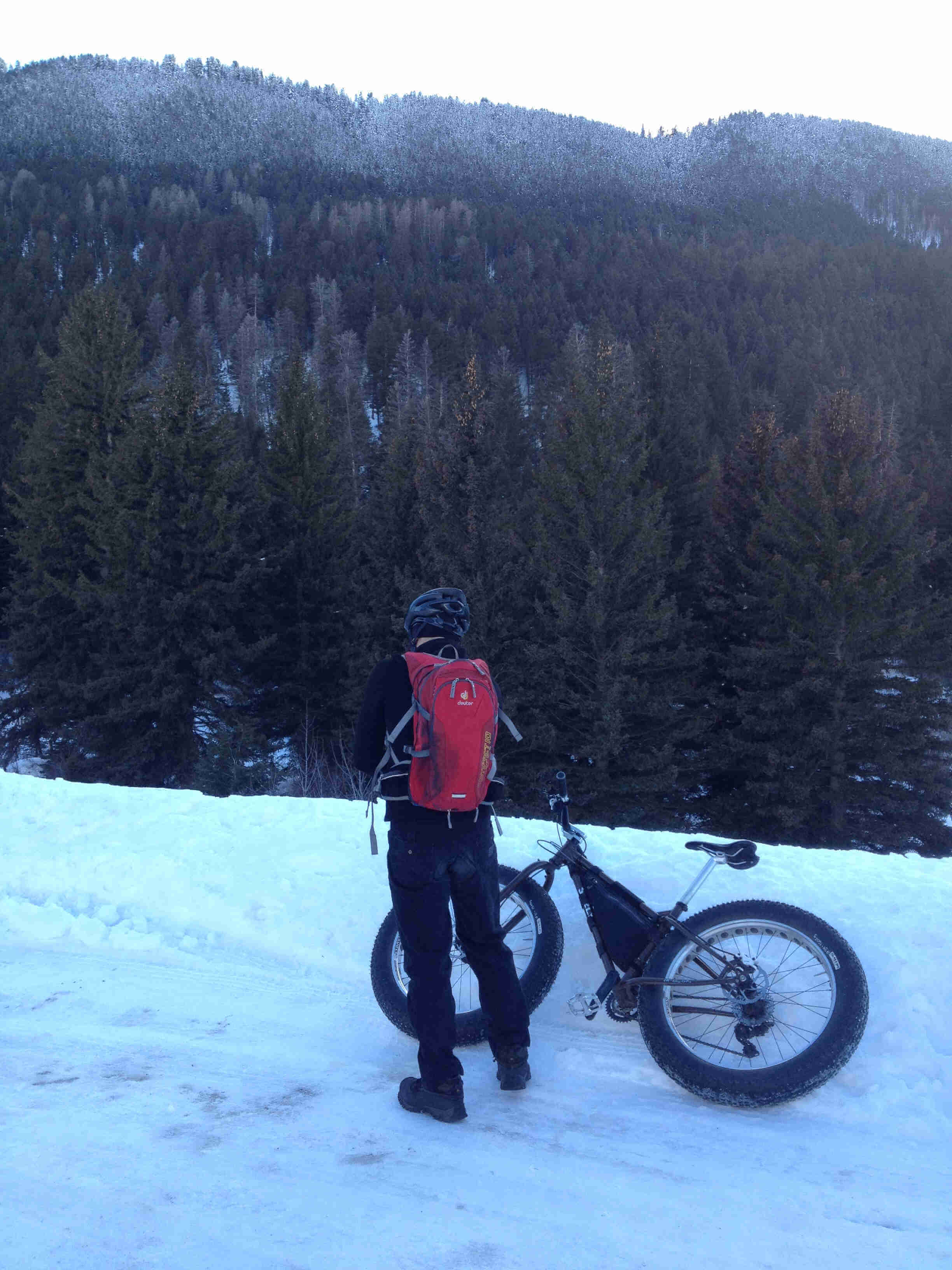 Rear view of a cyclist, standing in front of a Surly fat bike laying on it's side in a snowbank, with mountains behind