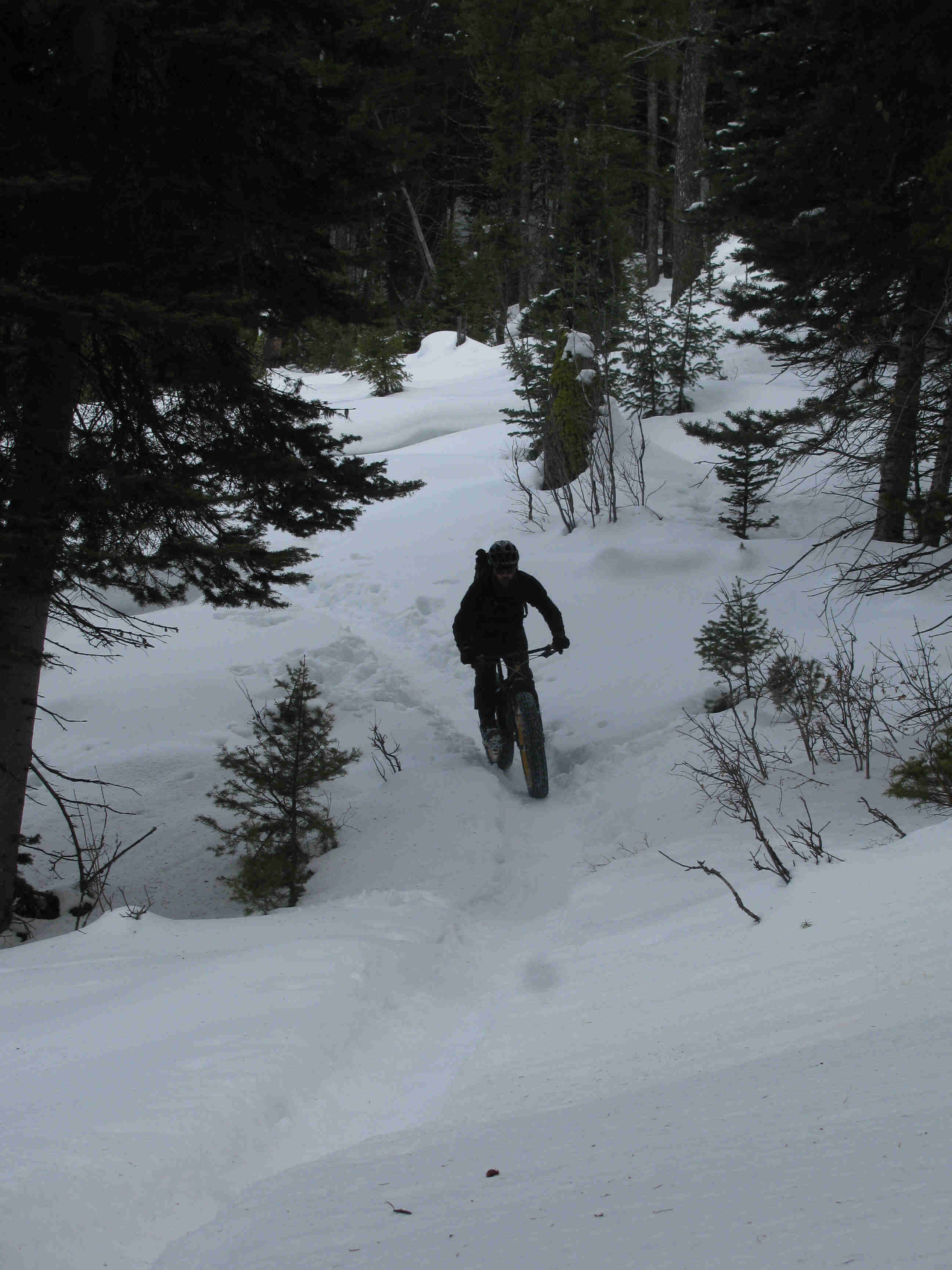 Front view of a cyclist, wearing winter outerwear, riding a Surly fat bike, on a snow covered trail in a forest