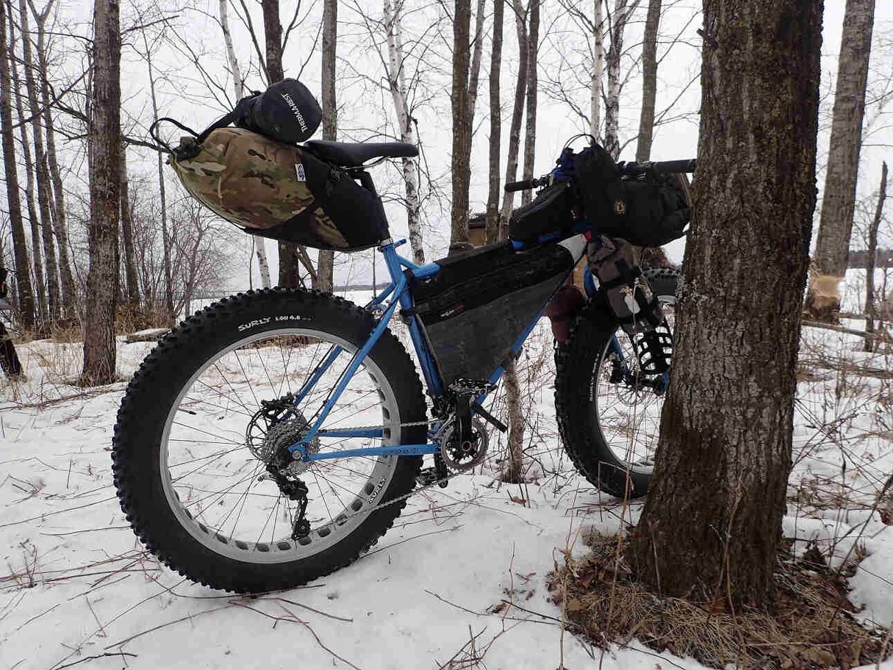Right side view of a blue Surly Ice Cream Truck fat bike loaded with gear, parked in snow, against a tree in the woods