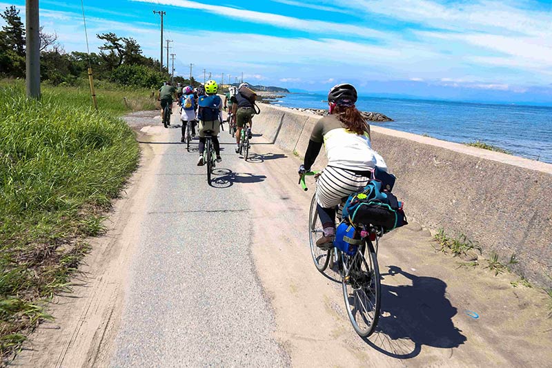 Rear view of a group of cyclists, riding their bikes on a road, alongside a cement barrier wall that's beside a seashore