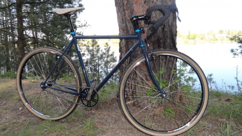 Right side view of a dark blue Surly Cross Check bike, leaning on a tree, with trees and a lake behind it