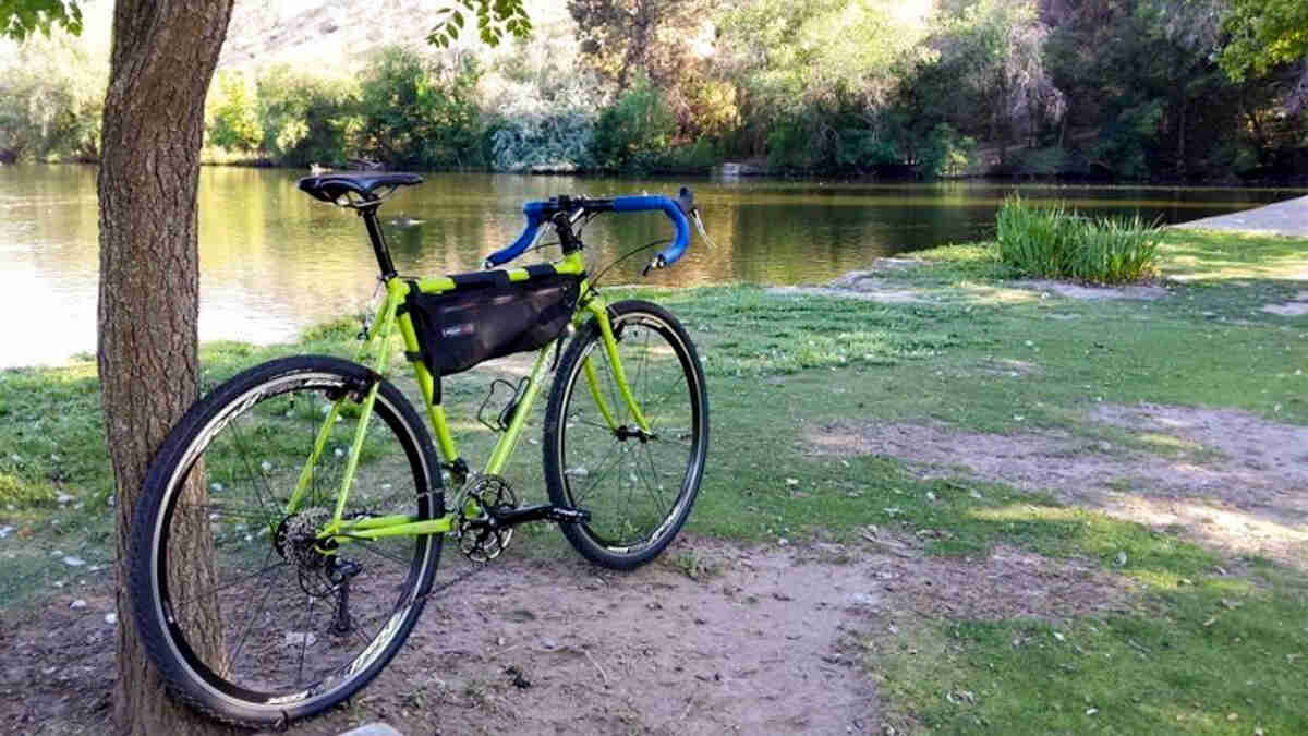 Right side view of a lime green Surly Cross Check bike, parked on grass, near the bank of a pond with trees behind