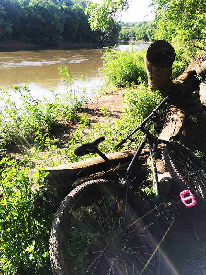 Rear right view of a bike laying on a log on a river bank