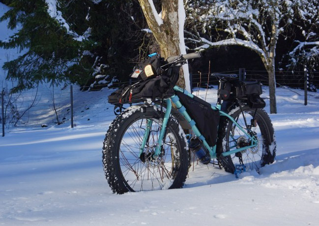Front left view of a Surly fat bike leaning on a tree in field with deep snow, with pines in the background
