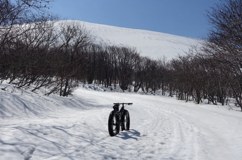 Rear view of a Surly fat bike in the middle of a snow covered field, with trees and a hill ahead