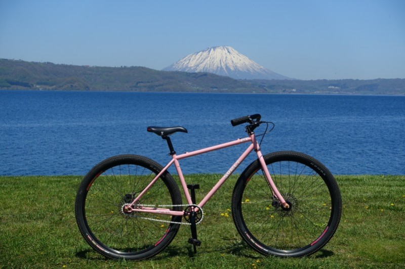 Right side view of a pink Surly bike, parked in a grass field with Lake Toya and a snowcapped mountain in the background