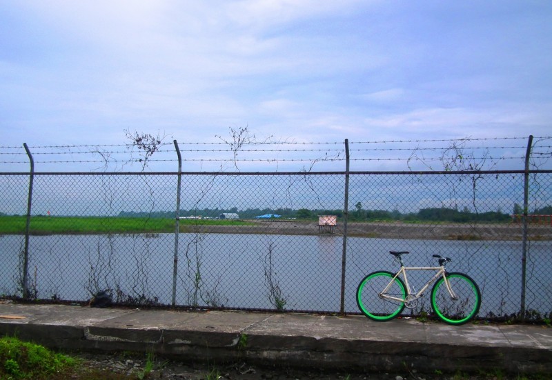 Right side view of pink Surly bike with green rims, leaning on the outside of a chain link fence, with a pond behind it