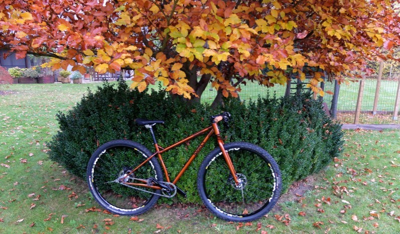 Right side view of a copper Surly bike, parked across a green bush that's at the base of a tree with changing leaves