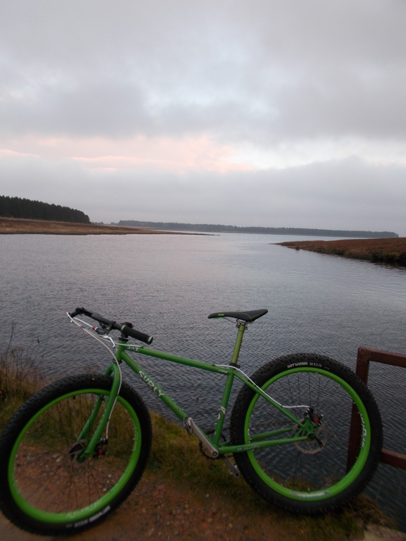 Left side view of a green Surly 1x1 bike, parked along a gravel bank of a lake, with a pine trees behind it