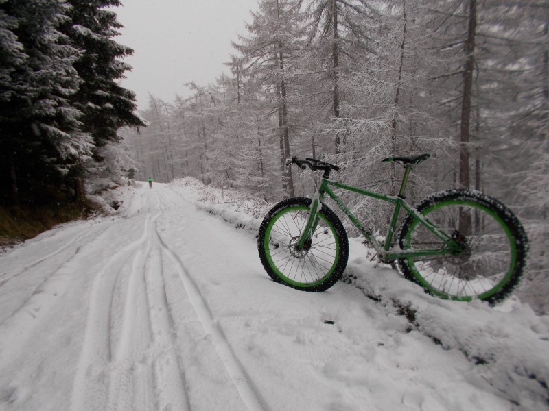 Left side view of a green Surly 1x1 bike, on the side of a snow covered road, facing straight away, in a snowy forest