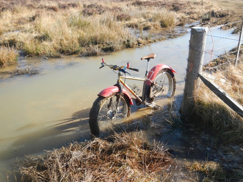 Left side view of a Surly fat bike with big red fenders, parked in a deep puddle next to a fence post in a grassy field