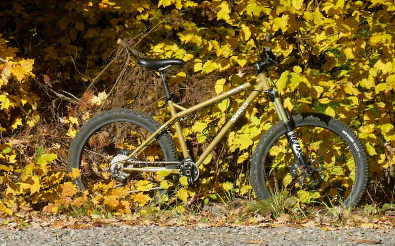 Right side view of an olive Surly bike, on the side of a gravel trail, with thick yellow brush in the background