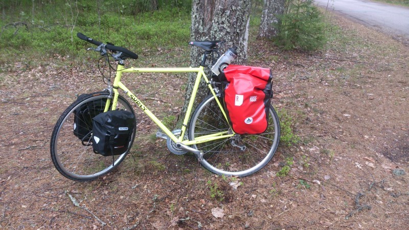 Left side view of a lime Surly Pacer bike with saddlebags, parked on pine needles, at the base of a tree