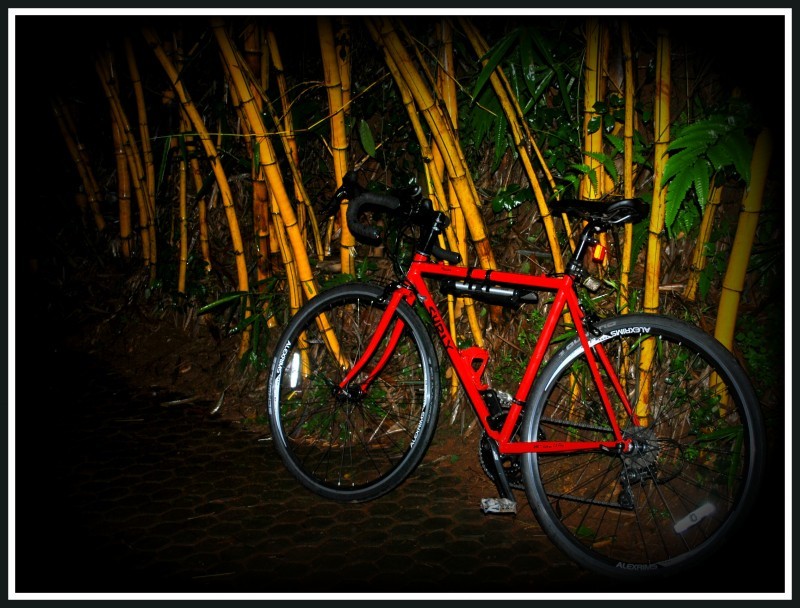 Left side view of a red Surly Pacer bike, parked on a brick road, next to bamboo trees, at night