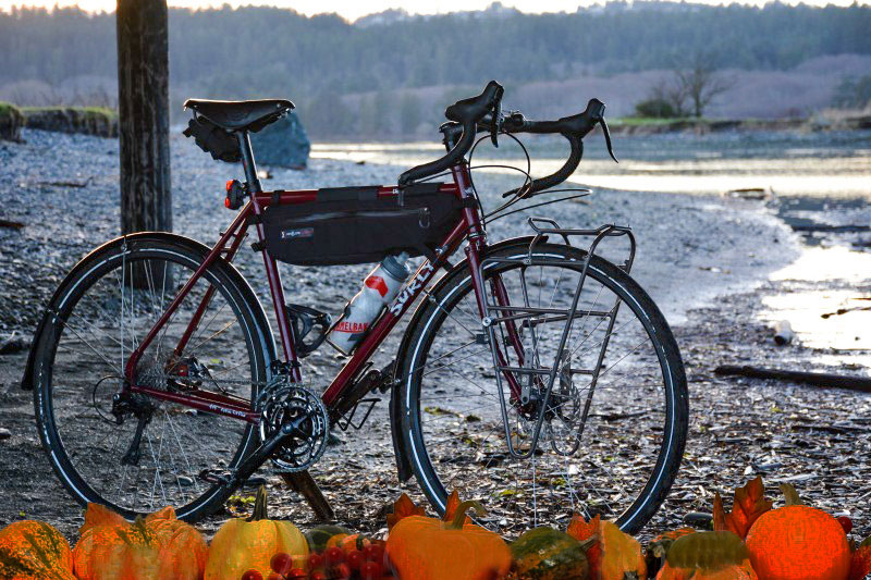 Right side view of a Surly bike, red, parked on the snowy bank of a pond, gourd graphics at the bottom of image