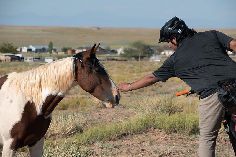 Mountain biker stopped to pet white and brown horse near side of gravel road