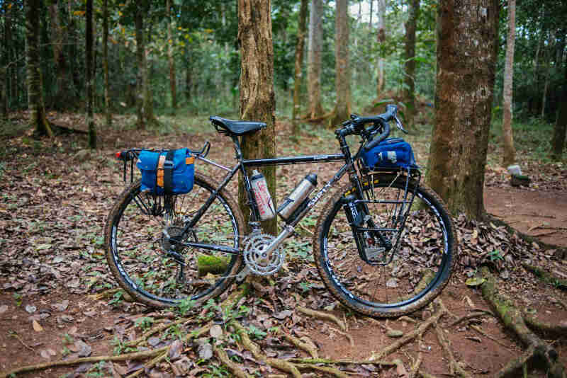 Right side view of a Surly bike parked on roots in front of a tree, with the forest in the background