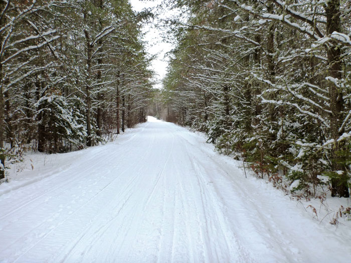Straight away view of a wide, snow covered trail running through a snowy forest