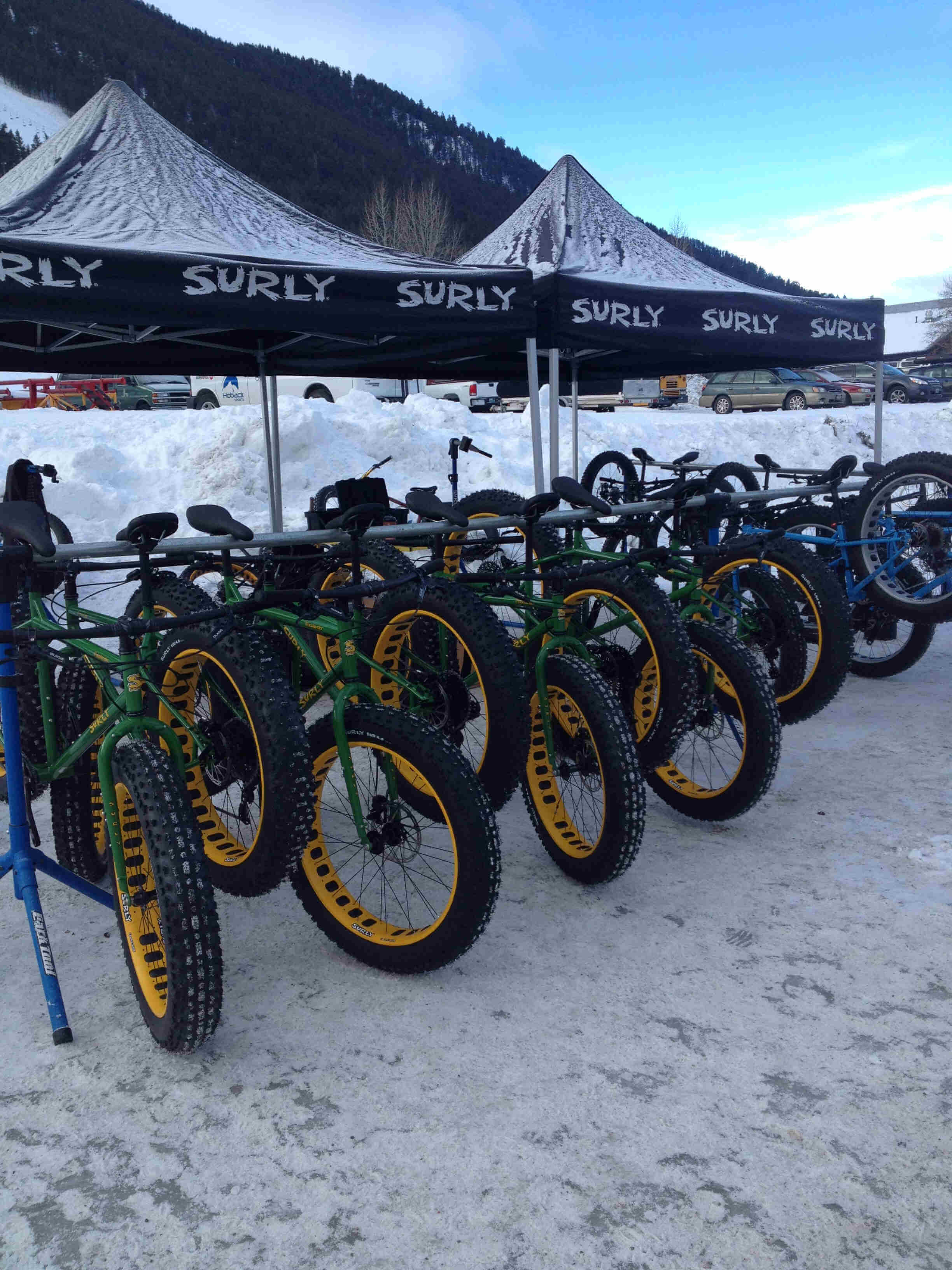 A row of green and yellow Surly fat bikes lined up under canopies in the snow, with a mountain in the background