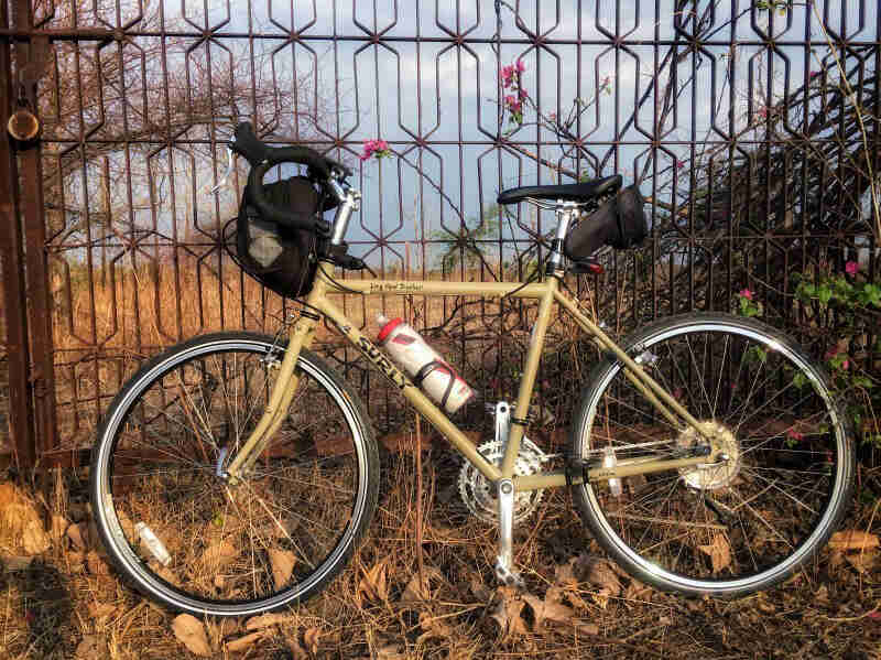 Left side view of a tan Surly Long Haul Trucker bike, parked in brown grass and leaves, in front of an iron gate