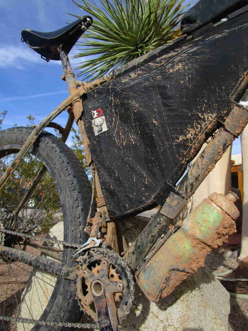 Upward, close up, right side view of the middle of a muddy Surly ECR bike, with the top of a palm above in background