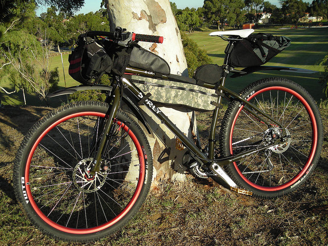 Left side view of an olive drab Surly ECR bike with gear packs, leaning against a tree base, with a field in background