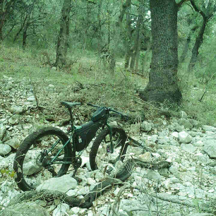 Rear, right side view of a green fat bike, parked on a patch of rocks in a forest