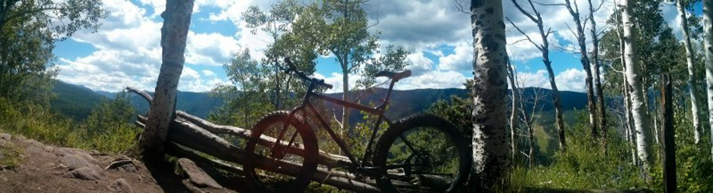 Panoramic, left side view of a fat bike, parked between 2 trees in the woods, with mountains in the background