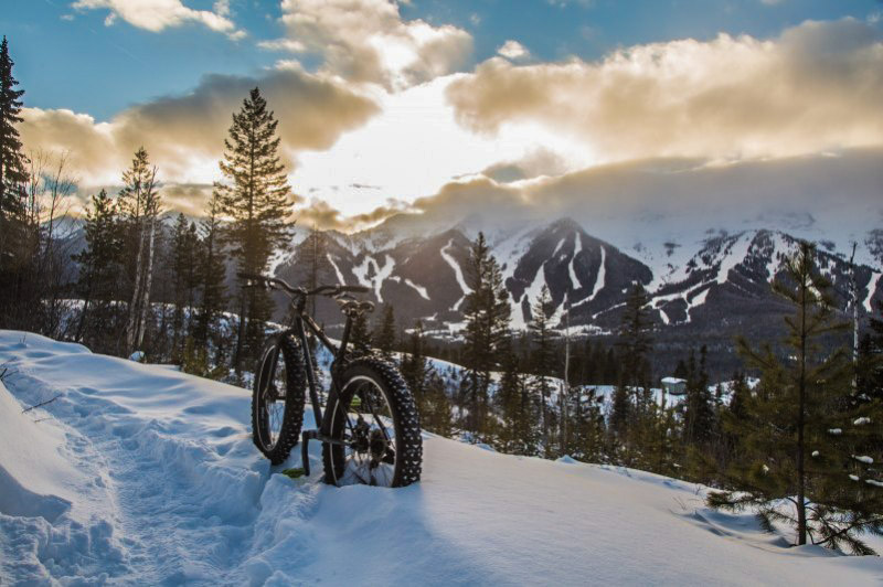 Rear left view of a Surly fat bike, on the edge of a trail with deep snow, with trees and mountains in the background