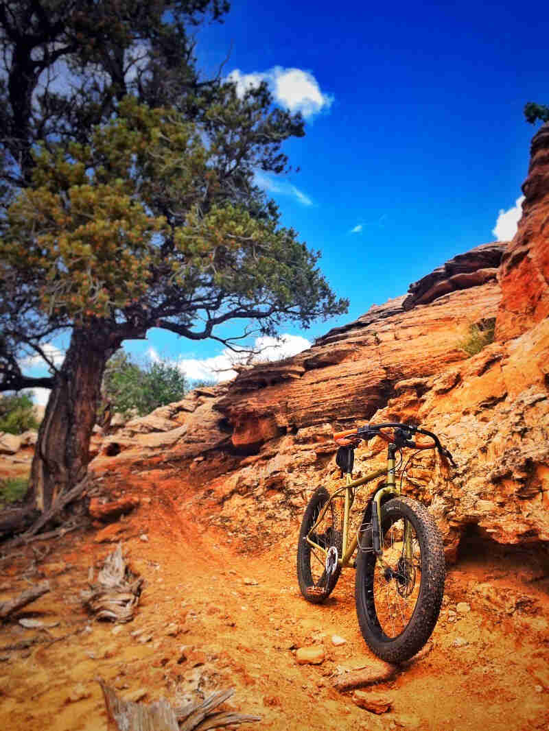 Front view of a gold Surly fat bike, parked on a rock trail and leaning on a cliff wall, with a tree in the background