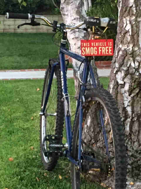 Rear view of a blue Surly Cross Check bike, parked on a grass yard, next to a tree