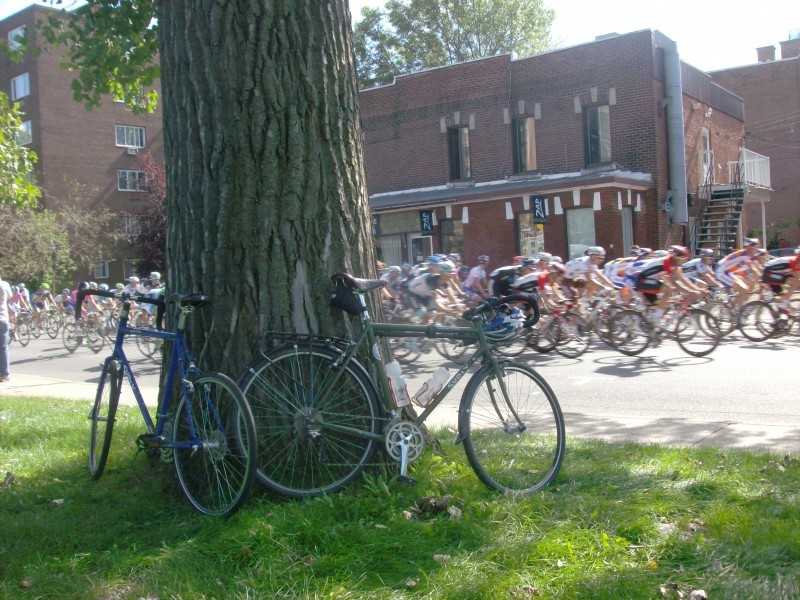Side view of 2 Surly bikes parked against the base of a large tree, with cyclists on a street, racing in the background