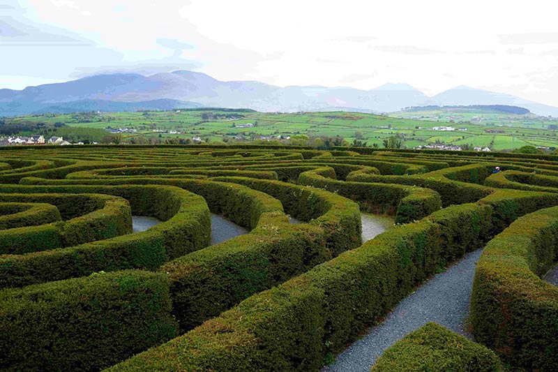 A large hedge maze, with green fields and a mountain range in the background