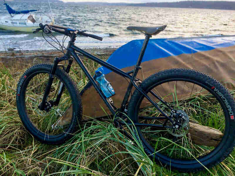 Left side view of a Surly Ice Cream Truck fat bike, black, on a grassy seashore, with a sailboat in the background