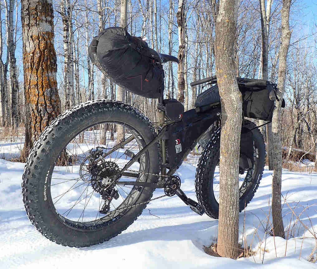Right side view of an olive Surly Ice Cream Truck fat bike with gear packs, parked against a tree in a snowy forest