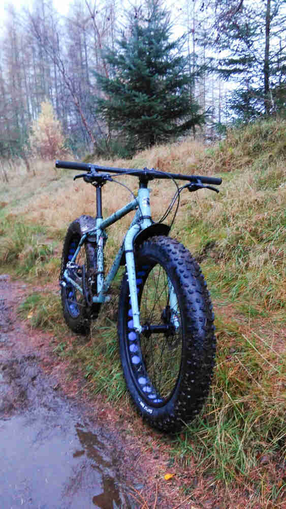 Front view of a mint Surly fat bike parked in grass, alongside a muddy trail, in the woods