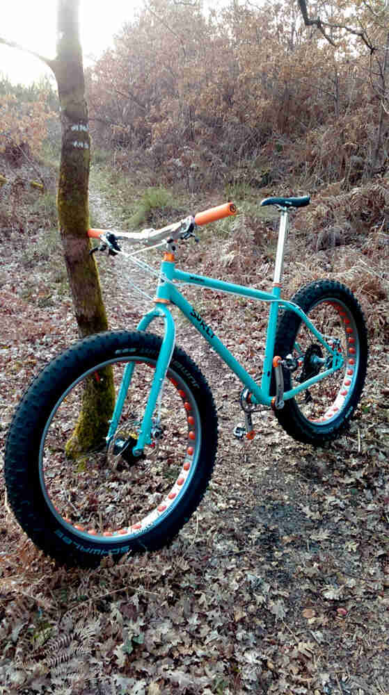 Left side view of turquoise Surly fat bike, parked on a dirt trail covered with leaves