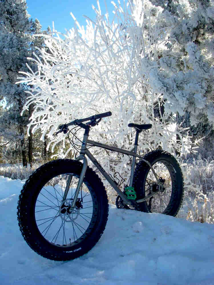 Front left view of a silver Surly fat bike, parked over a snow bank, with an ice covered tree in the background