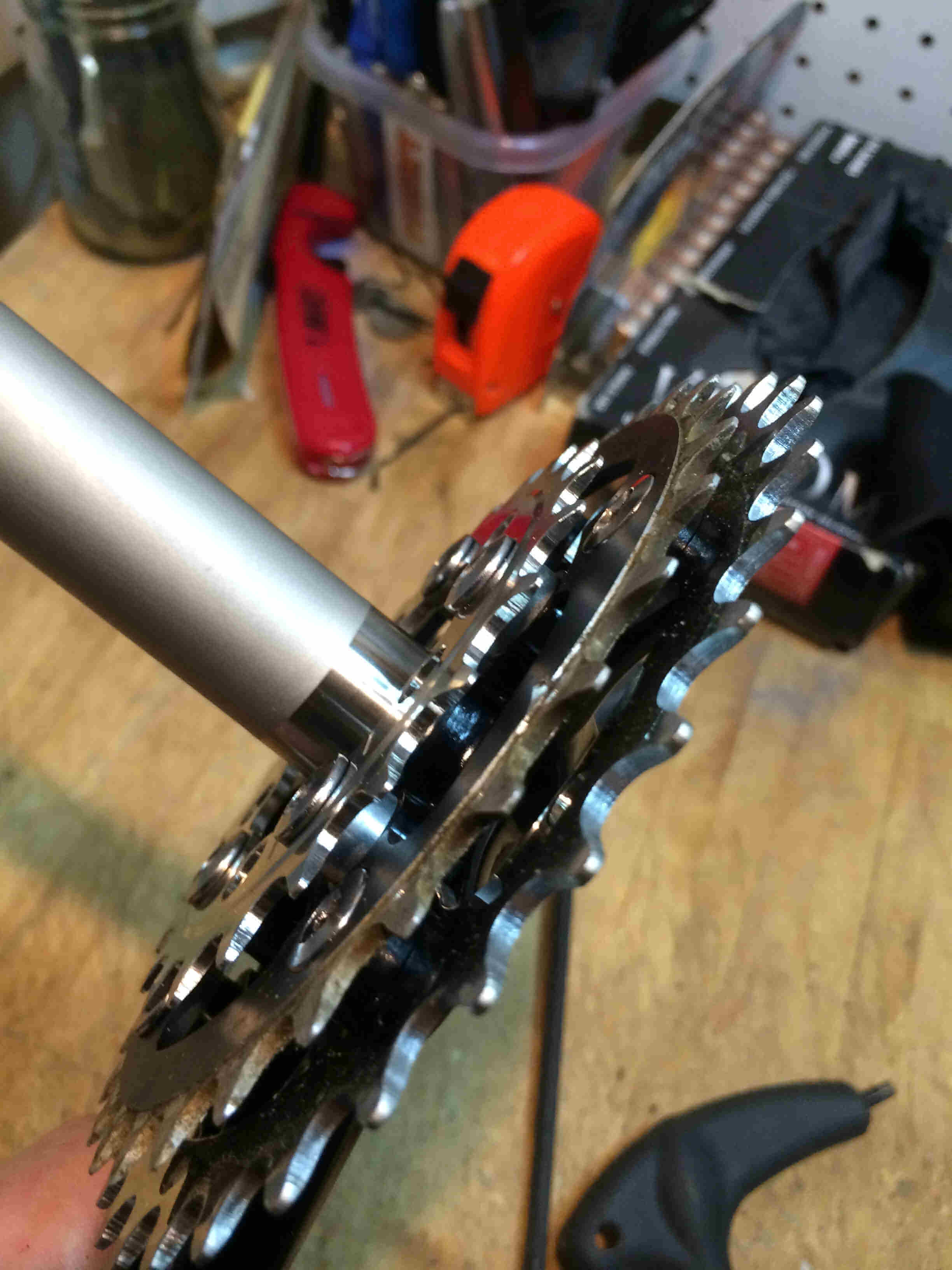 Downward view of a Surly Bikes O.D Crankset, sitting on a table, showing chainring tooth detail